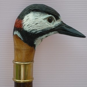 Spotted Woodpecker