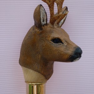 Buck Roe Deer